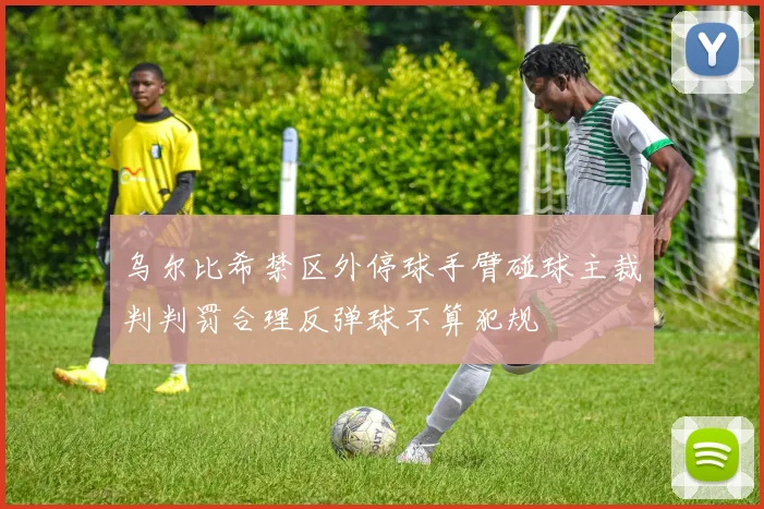 乌尔比希禁区外停球手臂碰球主裁判判罚合理反弹球不算犯规
